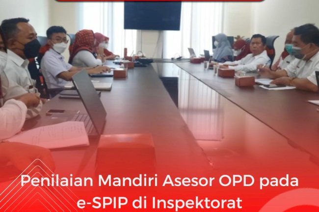 Sosialisasi Penilaian Mandiri eSPIP untuk Asesor OPD