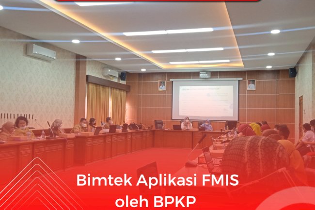 Bimtek Aplikasi FMIS oleh BPKP