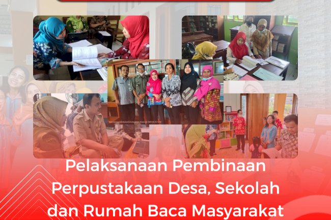Pembinaan Perpustakaan Sekolah, Desa dan RBM